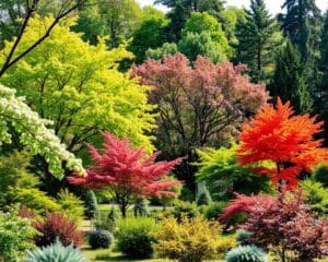Bäume für den Garten: Die besten Sorten für jede Jahreszeit