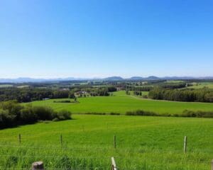 Grundstück kaufen: Worauf Sie achten sollten