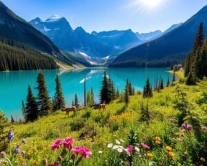 Natur und Parks in Banff, Kanada