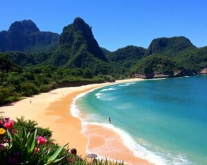 Strände und Dschungel in Rio de Janeiro, Brasilien