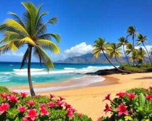 Strand und Natur in Maui, Hawaii