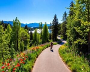 Die schönsten Radwege für aktive Outdoor-Fans