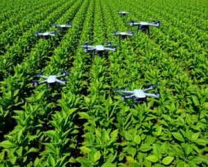 Können Drohnen die Präzisionslandwirtschaft transformieren?
