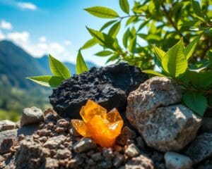 Shilajit und Kalium: Mehr als nur Mineralstoffe