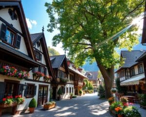 Wie ist der Wohnstil im Dorf Oberammergau?