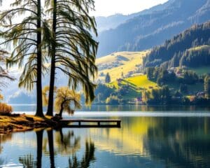 Wie finde ich Ruhe am Wolfsgrubenersee?