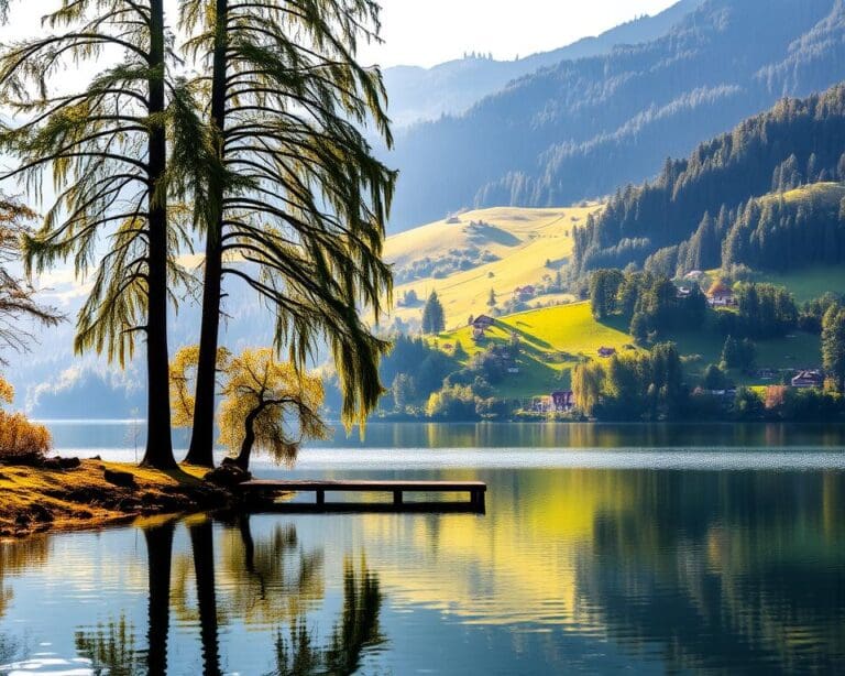 Wie finde ich Ruhe am Wolfsgrubenersee?