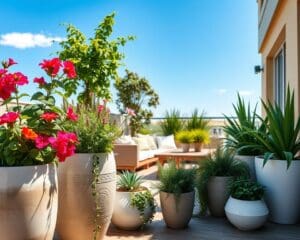 Moderne Pflanzideen für sonnige Terrassen